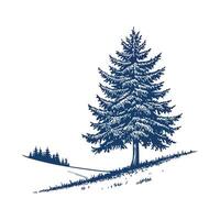 Elegant Blue Spruce Display on White vector