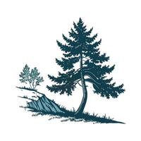 Vibrant Blue Spruce Picea on White Surface vector