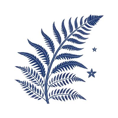 Stylish Blue Star Fern on White Canvas
