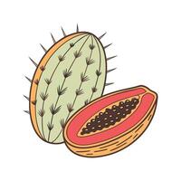 Elegant Cactus Pear Display on White vector
