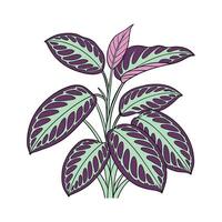Serene Calathea Leaf Artwork for Modern Spaces vector