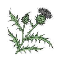 Unique Cardoon Leaf Design for Artwork vector