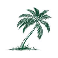 Vibrant Carnauba Palm Leaf Design for Artwork vector