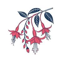 Chenille Plant Design on Elegant Background vector