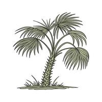 Charming Chinese Fan Palm Design on White vector