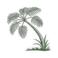 Distinctive Chinese Fan Palm Design for Decor vector