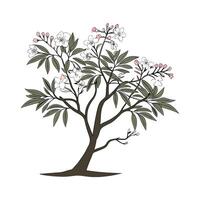 Distinctive Chitalpa Tashkentensis Design vector