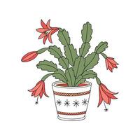 Vibrant Christmas Cactus Plant Design for Home vector