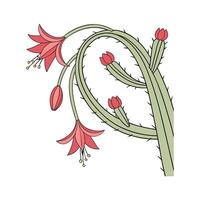 Distinctive Christmas Cactus Artwork for Elegant Home vector