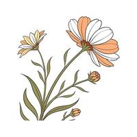 Distinctive Coreopsis Plant Artwork for Home vector