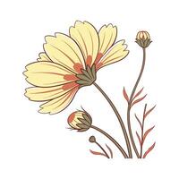 Vibrant Coreopsis Plant Design for Interiors vector
