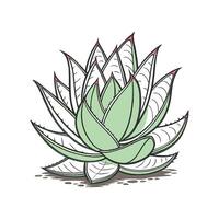 Charming Crassula Plant Design for Home vector