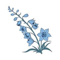 Elegant Delphinium on Clean White vector