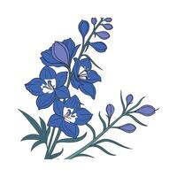Beautiful Delphinium Flowers Arrangement vector