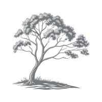 Vibrant Eucalyptus Display on White vector