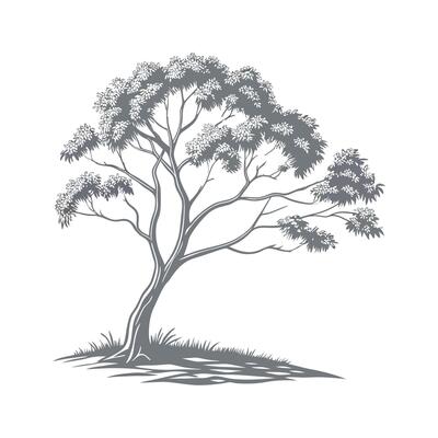 Vibrant Eucalyptus Display on White