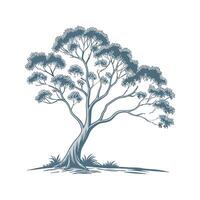 Elegant Eucalyptus Display on White vector