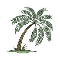Elegant Fishtail Palm Display vector