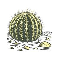 Golden Barrel Cactus Botanical Visualization vector