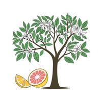 Artistic Grapefruit Tree Visualization vector