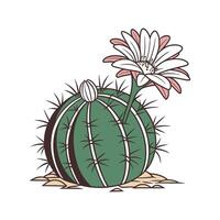 Artistic Gymnocalycium Cactus Visualization vector