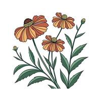 Vibrant Helenium Plant Artwork vector