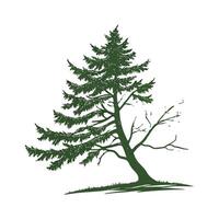 Artistic Hemlock Plant Visualization vector