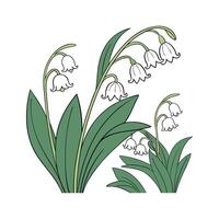 Artistic Hoyas Plant Visualization vector