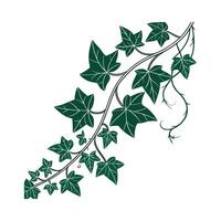 Artistic Ivy Visualization vector