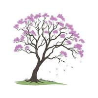 Jacaranda Flower Composition on White vector