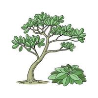 Vibrant Jade Plant Design with Unique Texture vector