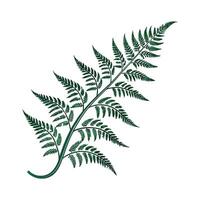 Elegant Japanese Fern Design on Bright Surface vector