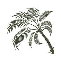 Stylized Japanese Fan Palm on Clean Surface vector