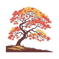 Elegant Japanese Maple Leaf Design on White vector