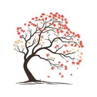 Elegant Japanese Maple Acer Palmatum Design vector