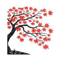 Stylized Japanese Maple Acer Palmatum on White vector