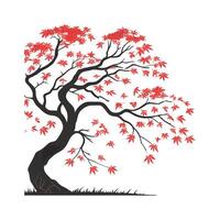 Stylized Japanese Maple Leaf Design on White vector