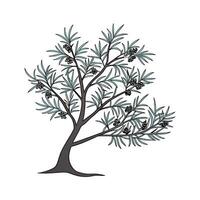 Elegant Juniper Plant Design on Bright White vector