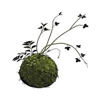 Stylized Kokedama on Bright Clean Surface vector
