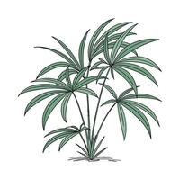 Elegant Lady Palm Design on Bright vector