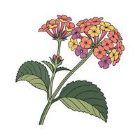 Elegant Lantana Flower Design on Bright vector
