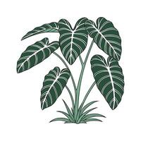 Vibrant Large Leafed Philodendron Artwork on Clean vector