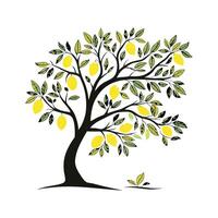 Elegant Lemon Tree Botanical Artwork Design vector
