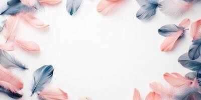 Pastel Feathers Frame With Pink and Blue Decoration on White Background With Copy Space photo