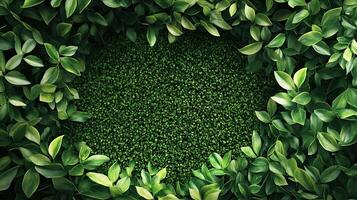 Lush Green Leaves Forming a Natural Frame Background for Design Template photo