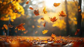 Falling Autumn Leaves with Golden Sunlight Filtering Through Trees in a Forest Scene with Vibrant Colors and Bokeh Background photo