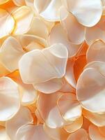 Close-up view of delicate rose petals in soft hues photo