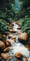 Flowing stream through lush forest with rocky banks in nature photo