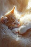 Sleeping orange kitten nestled in soft fur blanket photo