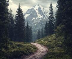 A dirt path leads to a mountain with trees photo
